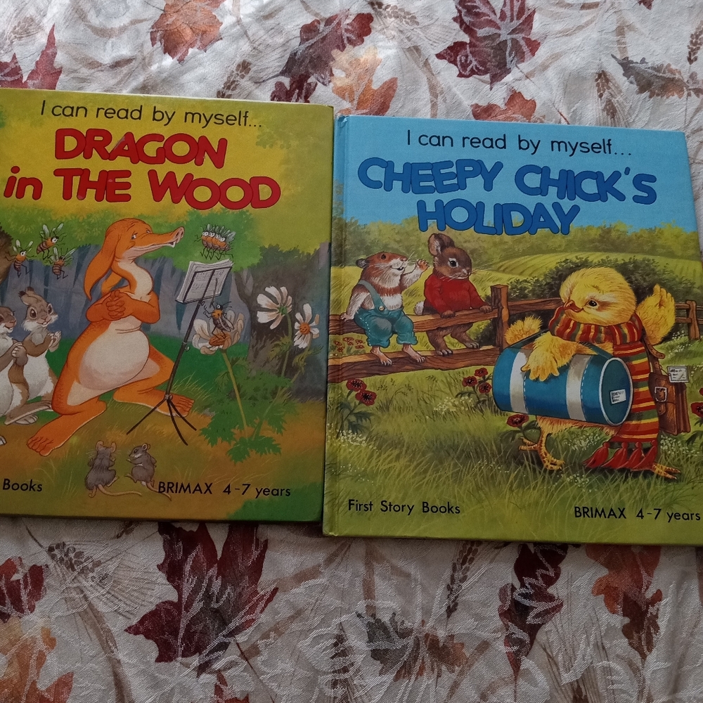First Story Books Dragon In The Wood & Cheepy Chick's Holiday